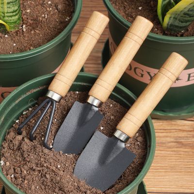 园艺大三件套盆栽小铲子花园小铁铲室内花卉松土种花菜工具浇水壶