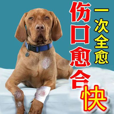 【三天长肉】宠物创伤药外用犬猫伤口快速愈合杀菌消炎止血护理液