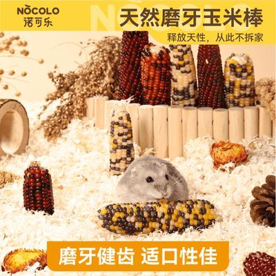 诺可乐磨牙玉米棒仓鼠零食营养专用造景小玩具花枝金丝熊粮食用品