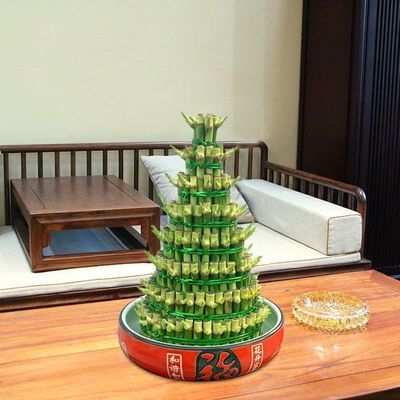 竹塔富贵竹盆栽组合节节高水培观音竹子客厅卧室茶几步步高转运竹