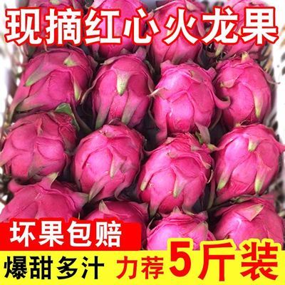 【甄选品质】红心火龙果3/5斤现摘新鲜当季水果红龙果红肉包邮