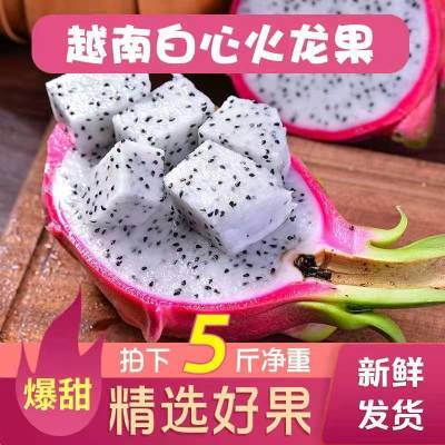 【甄选品质】3/5斤越南白心火龙果大果新鲜当季水果进口非海南果