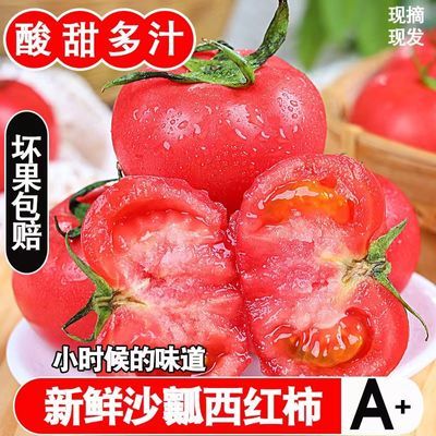 【高品质】普罗旺斯沙瓤西红柿新鲜3/5斤生吃水果小番茄非圣女果
