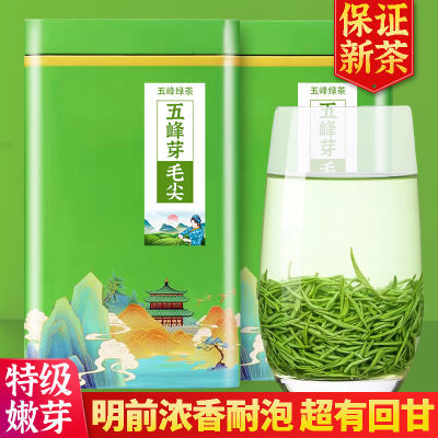 五峰芽毛尖特级嫩芽2024新茶浓香型明前春茶宜昌高山绿茶散装茶叶