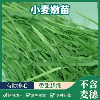 烘干小麦嫩苗草精品全叶小麦草新鲜干草兔子龙猫专用干草饲料