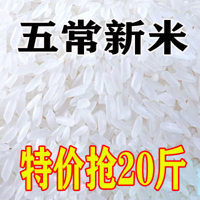 【特价新米】正宗五常稻花香米长粒香米3斤10斤20斤大米批发直销