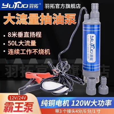 羽拓抽油泵霸王款120W大功率迷你12v24V抽柴油泵小型油抽子抽水泵