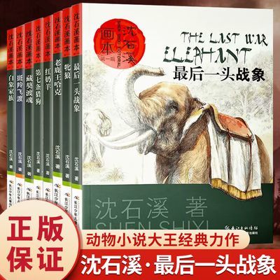 全8册沈石溪动物小说全集最后一头战象正版狼王梦6-12岁儿童文学