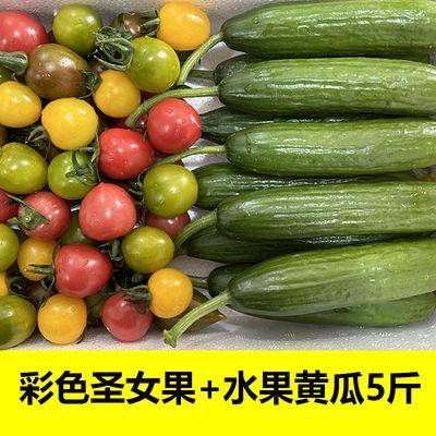 彩色圣女果水果黄瓜组合5斤2斤新鲜水果蔬菜青瓜番茄小西红柿千禧