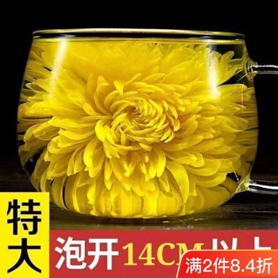 金丝皇菊超级特大多泡开10厘米以上朵朵精品独立包装一朵一杯