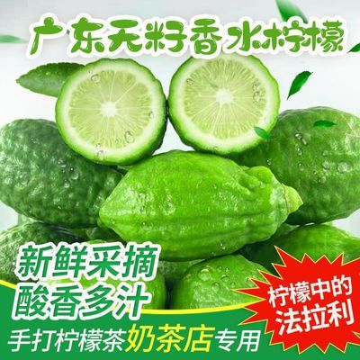 广东香水柠檬精选当季级果广东香水柠檬商用新香奶茶店无籽新鲜