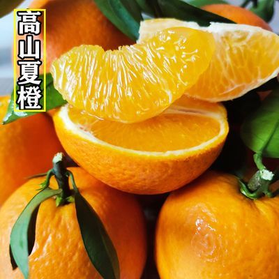 应季孕妇水果广西桂林夏橙新鲜橙子高山夏橙脐橙非沃柑冰糖橙血橙
