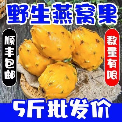 【顺丰包邮】海南新鲜现摘麒麟燕窝果一整箱孕妇水果黄龙果新鲜果