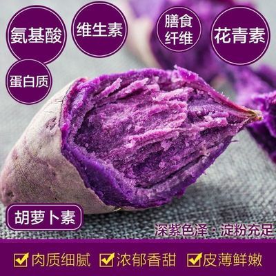 【甄选品质】紫薯新鲜沙地现挖紫罗兰蜜薯糖心甜山芋番薯蔬菜地瓜