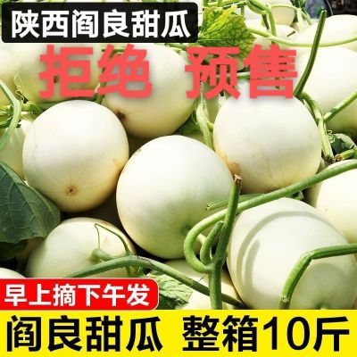 【大降价】陕西阎良甜瓜头茬新鲜水果应季哈密瓜香瓜脆甜现摘批发