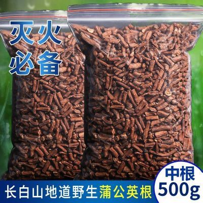 蒲公英根茶老根炒熟野生天然正品特级婆丁250g/500g清热泡茶浦公