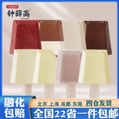 【10支】新品钟薛高柚味酸奶提子牛乳半巧丝绒可可网红雪糕冰淇