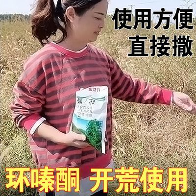 环嗪酮除草剂杂草竹子快速强力粉剂颗粒正品长效开荒除草剂农用