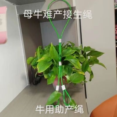 牛用助产母牛接生绳牛用套脖助产手拉绳牛用难产绳兽用助产拉绳