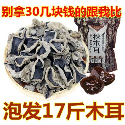 500g泡发17斤木耳】东北黑木耳干木耳干货批发头茬榨木秋木耳肉厚