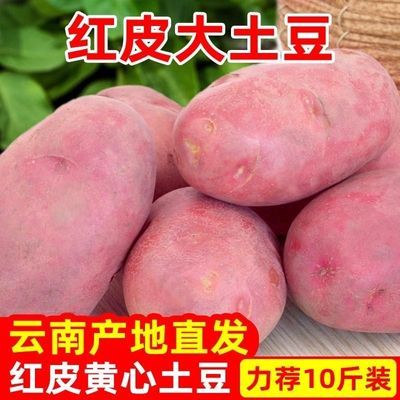 【土豆批发】云南红皮黄心土豆批发新鲜蔬菜现挖马铃薯5/10斤