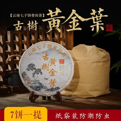 云南普洱茶古树茶黄金叶生普春茶口粮茶正宗真品老茶叶生茶饼