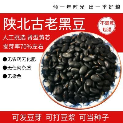 陕北榆林老品种黑豆黑皮黄心小黑豆农家自产五谷杂粮黑小豆种子