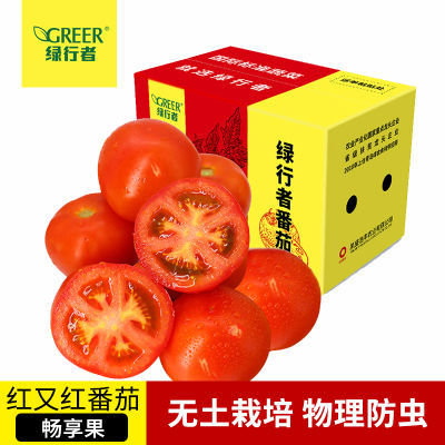 【绿行者】红又红番茄畅享果5斤新鲜蔬菜自然熟西红柿子生吃水果【5天内发货】