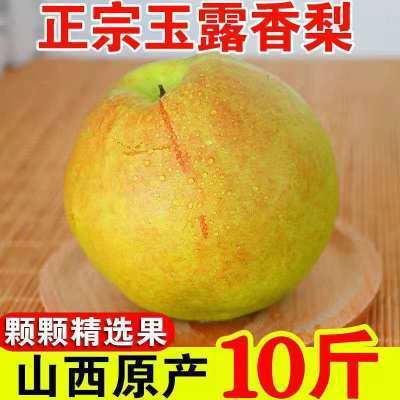 【甄选品质】新鲜玉露香梨5/9斤脆甜梨子水果新鲜现摘酥梨