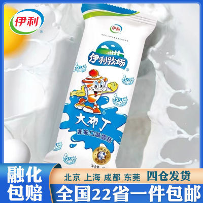 【40支】伊利大布丁雪糕经典童年回忆奶油冰淇淋小奶糕牛奶味棒冰