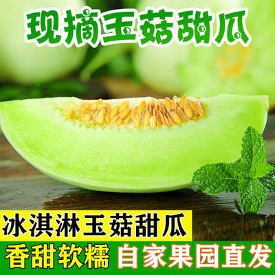 山东玉菇甜瓜新鲜绿肉冰淇淋瓜现货孕妇应季水果软糯香甜整箱批发