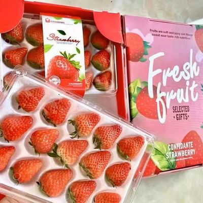 双流商用草莓夏季新鲜草莓蛋糕奶茶批发糖葫芦现摘烘焙整箱盒装