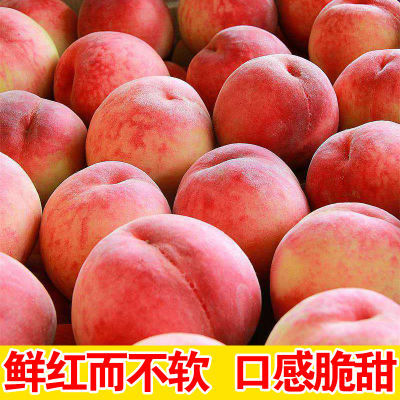 水蜜桃新鲜桃子10/5/3/1斤脆甜现摘大毛桃应季水果孕妇脆桃整批发