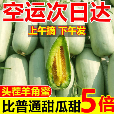 【爆甜】头茬羊角蜜甜瓜山东新鲜当季蜜瓜水果蜜瓜整箱脆甜羊角蜜