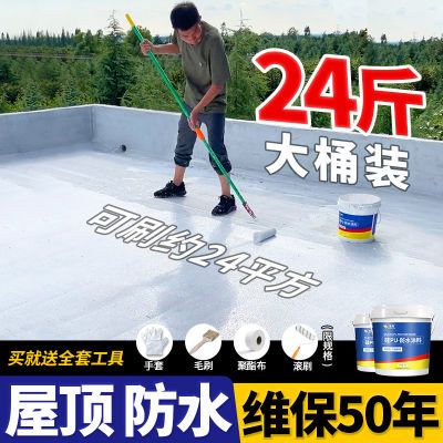 屋顶防水涂料楼顶补漏裂缝漏水聚氨酯沥青平房堵漏专用防水胶材料