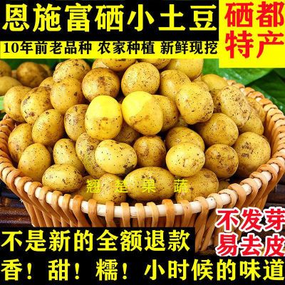 【硒都特产】恩施富硒小土豆黄心马铃薯洋芋新鲜农家天然绿色健康