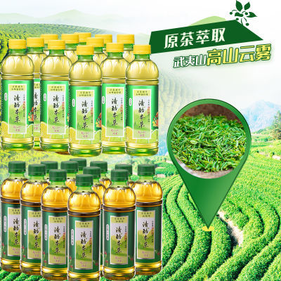 清酷凉茶植物饮料清凉整箱350ml24瓶混合（蜂蜜柠檬12+绿茶12）