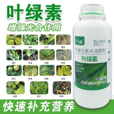 叶绿素氨基酸叶面肥壮棵提苗增厚增绿生根中量元素水溶肥料花卉