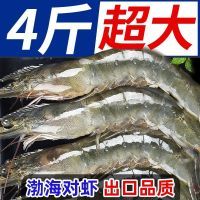 虾有虾途渤海大虾17-19厘米超大号海虾4斤一整箱海鲜水产批发大虾