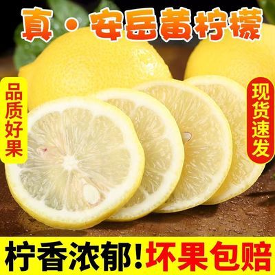 【甄选品质】安岳黄柠檬水果当季新鲜水果薄皮一级柠檬果子泡水