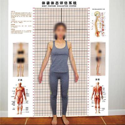 体态评估图墙贴健身房体测表瑜伽私教站姿形体脊椎修复身体装饰