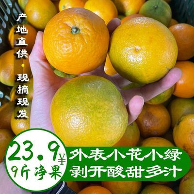 【小花皮】广西橙子新鲜夏橙现摘现发应季薄皮非果冻橙冰糖橙赣南