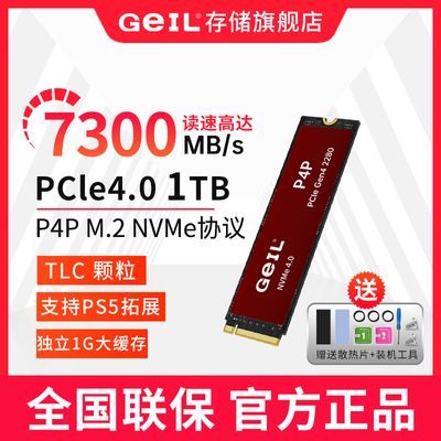 GeIL金邦P4P 1TB/2TB M.2固态硬盘NVME协议接口SSD全新原装