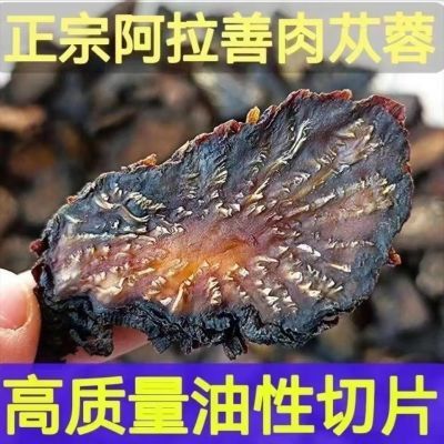 肉松蓉阿拉善野生肉苁蓉正品特级油苁蓉男性泡酒茶整根秋冬软大芸