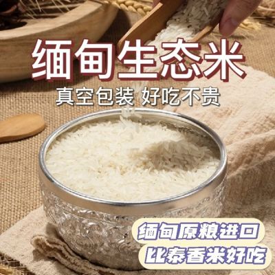 原粮进口2023新米上市缅甸生态贡米大米长粒香米批发10斤真空批发