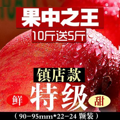 【镇店王10斤送5斤】正宗洛川苹果红富士当季新鲜脆甜特大级包邮