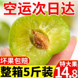 李子新鲜孕妇水果四川脱骨李半边红茵红李脆甜整箱5斤空心李【6月5日发完】
