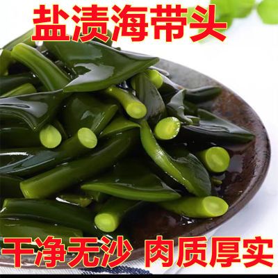 【新店半价】海带根梗段海带头特厚新鲜盐渍纯海带根茎海带头