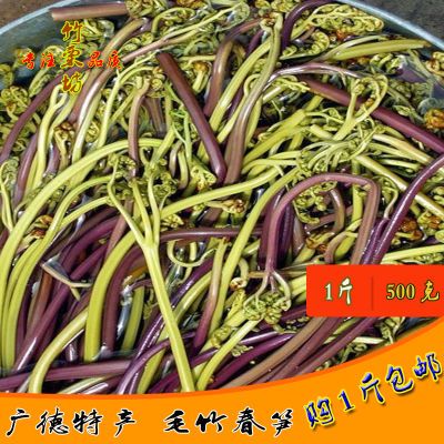 新鲜娃娃苔 野生蕨菜撅菜阙菜现摘现发安徽天然野生厥菜购1斤包邮