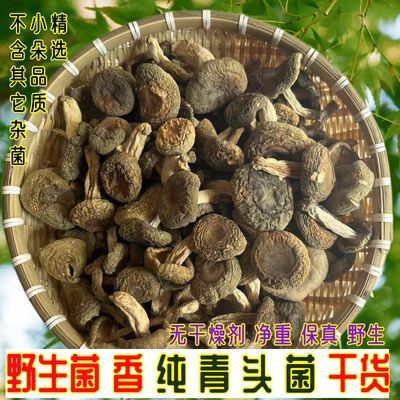 纯青头菌干货不开伞野生蘑菇正宗野山菌子纯天然当季新货煲汤新鲜